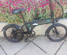 FIIDO D4S Folding Electric Bike