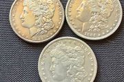 Morgan Dollars