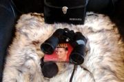 Bushnell Sportview Binoculars 10x50, 376 FT. At 1000 YD's.Fully Coated Optics.