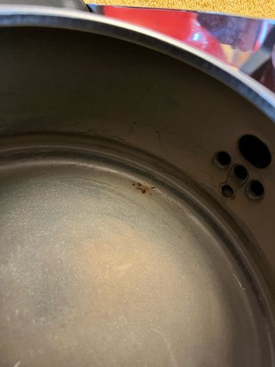 Le Creuset Kettle