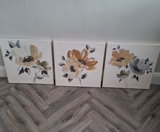 Set of canvas pictures