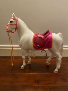 Our Generation Horse