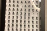 130 Individual Lashes