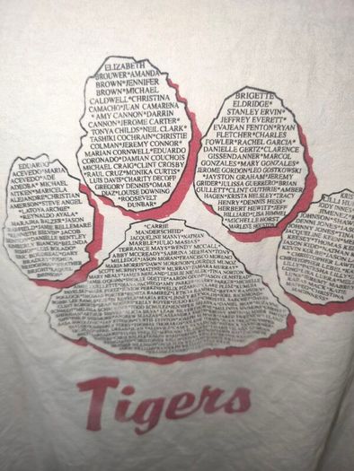 Vintage anvil 1994 single stitch tigers size XL