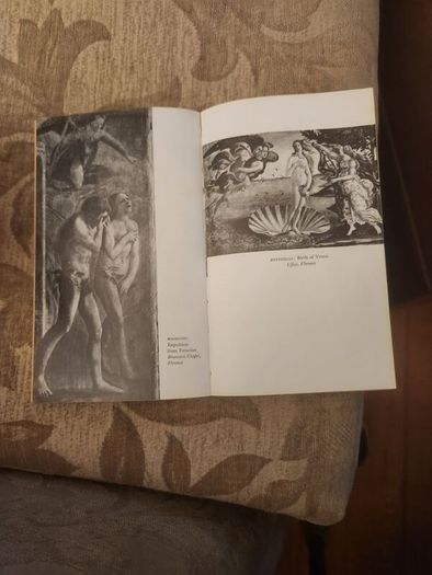 The Italian Painters Of The Renaissance.  Bernhard Berenson. The Fontana Library First Edition Paperback In Good Condition. See Photos For Same.