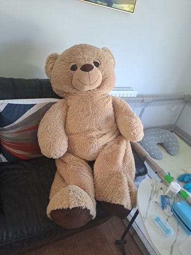 jumbo teddy