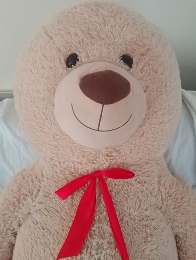 Very large Teddy Bear