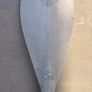 Palm Paddle Image 3