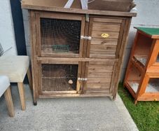 rabbit