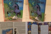 Magic Emerald - Reading Book: Night Horse