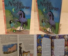 Magic Emerald - Reading Book: Night Horse