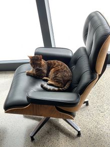 Eames style chair and foot rest