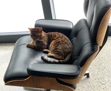 Eames style chair and foot rest