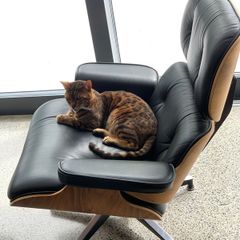 Eames style chair and foot rest