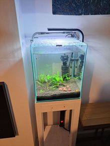 aquarium and stand