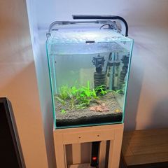 aquarium and stand