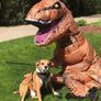 Inflatable Dinosaur Costume for Adult Blow up T-rex Costume Funny Halloween Party Costume Jurassic Dinosaur Cospaly Fancy Dress Image 9