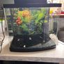 Fish tank Image 8
