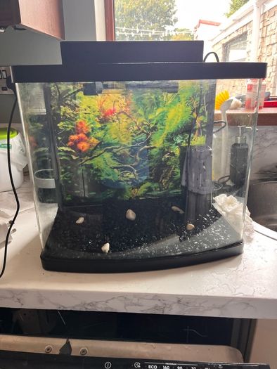 Fish tank