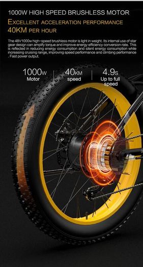 Lankeleisi Xf4000 Electric Bike