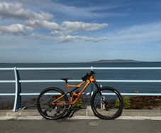 Orbea Occam XL