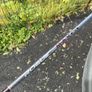 Aldila Rogue Max Driver Shaft Image 2