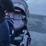 Silver cross pram & toddler Image 2