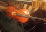 Windsor Cello