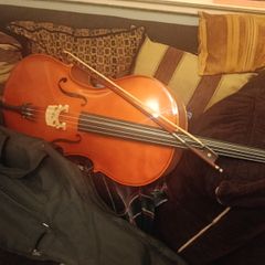 Windsor Cello
