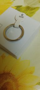 Titanium Wedding band