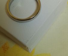 Titanium Wedding band