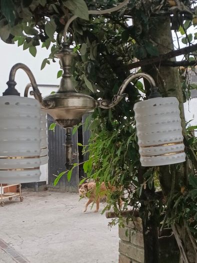 Vintage Pendant Light