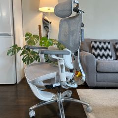 HBADA E3 "Ultra" Ergonomic Office Chair