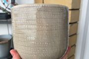 Plant pot