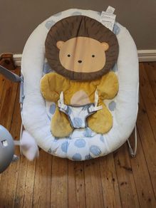 Baby Bouncer