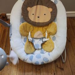 Baby Bouncer