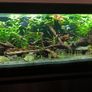 aquarium Image 5