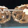 earrings Image 3