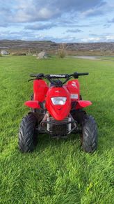 Quadzilla pro shark