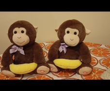 peekaboo monkeys