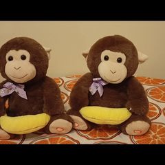 peekaboo monkeys