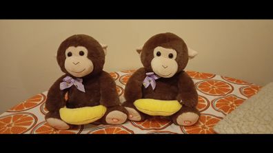 peekaboo monkeys