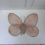 Butterfly wings Image 9