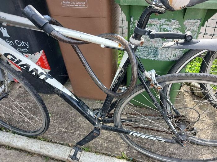giant bike