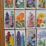 Vintage Cigarette cards Image 4