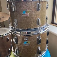 Vintage Ludwig 1970s Champagne Sparkle Toms
