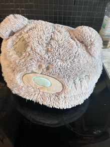Tatty Teddy foot warmer