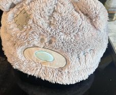 Tatty Teddy foot warmer