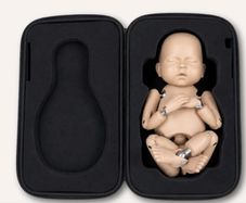 Posing Baby Doll