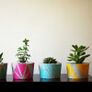 Concrete coasters and matching succulent plant pot AIL + EL Image 2